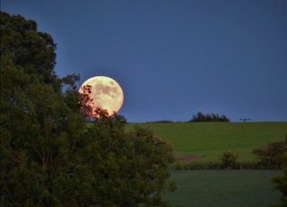 Tonight's Full Moon is in Sagittarius, a sign often associated with truth, growth, and looking beyond what feels familiar.

Whether or not you follow astrology, there can be something powerful about pausing to notice where you are in your life. 

🌕 Are you moving towards what feels meaningful? 
🌕 Are you honouring the parts of yourself that need both adventure and security? 
🌕 Are you allowing yourself to grow beyond old expectations?

As counsellors and supervisors, we often support others through periods of change, uncertainty, and self-discovery. Yet we are not separate from those experiences ourselves. We, too, are continually evolving, questioning, learning, and finding our way.

Perhaps tonight's moon is a reminder that growth doesn't always require a dramatic leap. Sometimes it begins with simply recognising that we have changed, and giving ourselves permission to move in a direction that feels more aligned with who we are now.

#counselling
#clinicalsupervision 
#reflectivepractice 
#personalgrowth 
#fullmooninsagittarius
