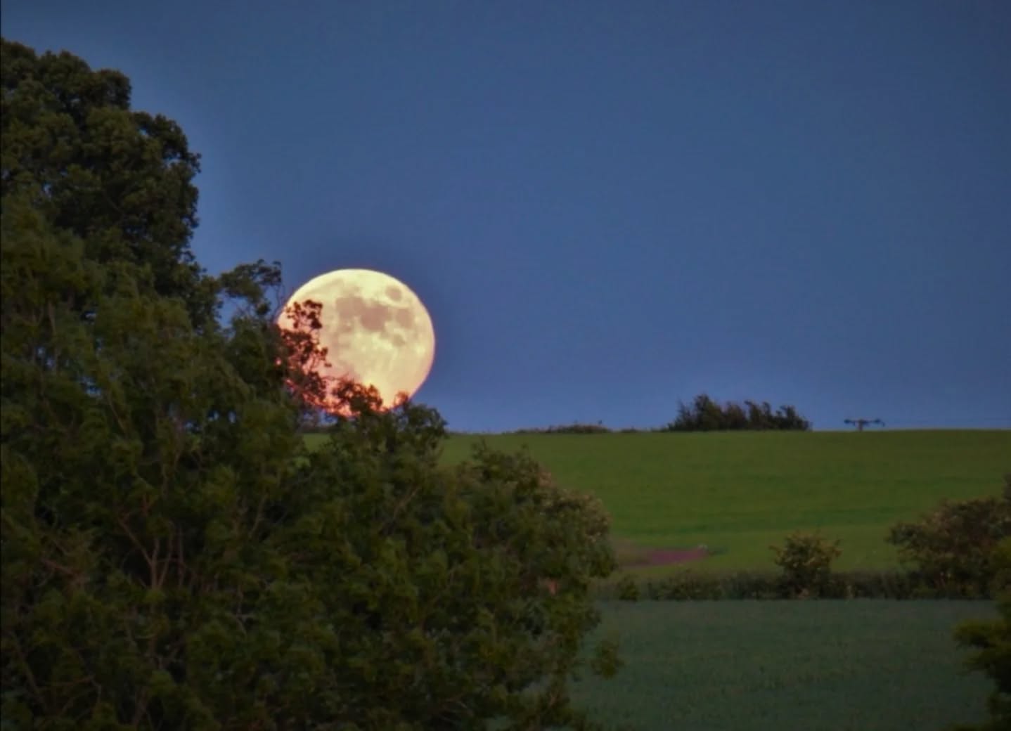 Tonight's Full Moon is in Sagittarius, a sign often associated with truth, growth, and looking beyond what feels familiar.

Whether or not you follow astrology, there can be something powerful about pausing to notice where you are in your life. 

🌕 Are you moving towards what feels meaningful? 
🌕 Are you honouring the parts of yourself that need both adventure and security? 
🌕 Are you allowing yourself to grow beyond old expectations?

As counsellors and supervisors, we often support others through periods of change, uncertainty, and self-discovery. Yet we are not separate from those experiences ourselves. We, too, are continually evolving, questioning, learning, and finding our way.

Perhaps tonight's moon is a reminder that growth doesn't always require a dramatic leap. Sometimes it begins with simply recognising that we have changed, and giving ourselves permission to move in a direction that feels more aligned with who we are now.

#counselling
#clinicalsupervision 
#reflectivepractice 
#personalgrowth 
#fullmooninsagittarius